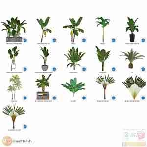 مجموعه ای از گل و گیاه و گلدان استوایی و گرمسیری برای اسکچاپ