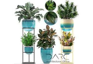 گلدونآبجکت گل فیکوس بنجامین