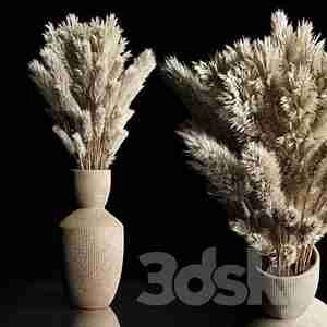 دسته گل گیاهان خشک گلدان بتنی داخلی