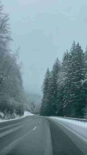 رانندگی در جاده برفی