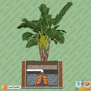 مجموعه ای از گل و گیاه و گلدان استوایی و گرمسیری برای اسکچاپ