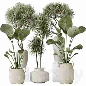 گلدان سفید برگ پهن