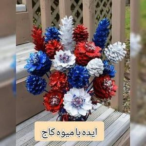 ایده با میوه درخت کاج