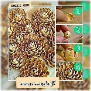 خلاقیت با پوست پسته