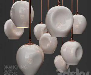Branching Bubble