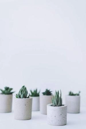 گلدان های استوانه ای ساده بتنی