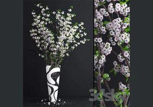 گلدون به شاخه های از شکوفه
