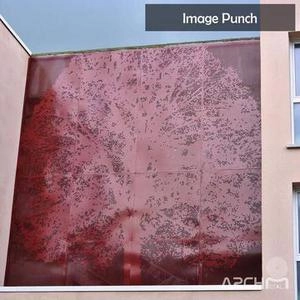 Image Punch