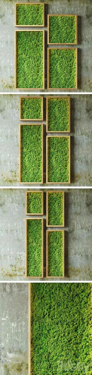 green wall