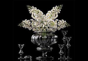گل نیلوفر3d ابجکت حرفه ای