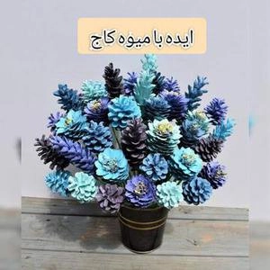 ایده با میوه درخت کاج