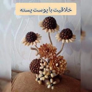 خلاقیت با پوست پسته