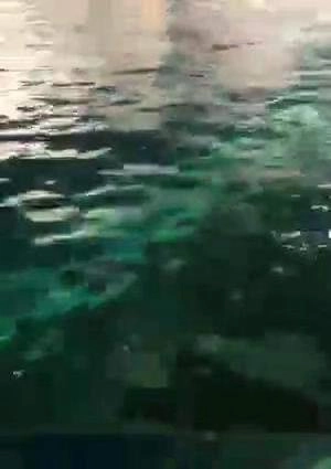 پله برقی در آب