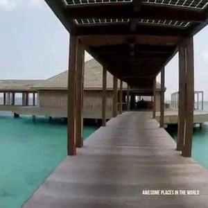 رستوران فوق العاده در زیر آب