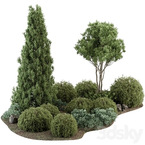 بوته و درخچه کاج / طراحی محوطه با گیاه Topiary و Pine