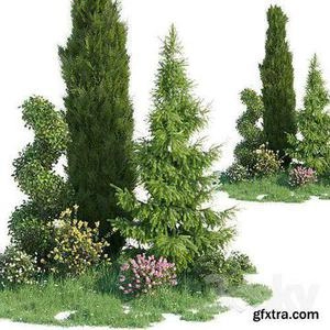 درخچه های تزیینی محوطه