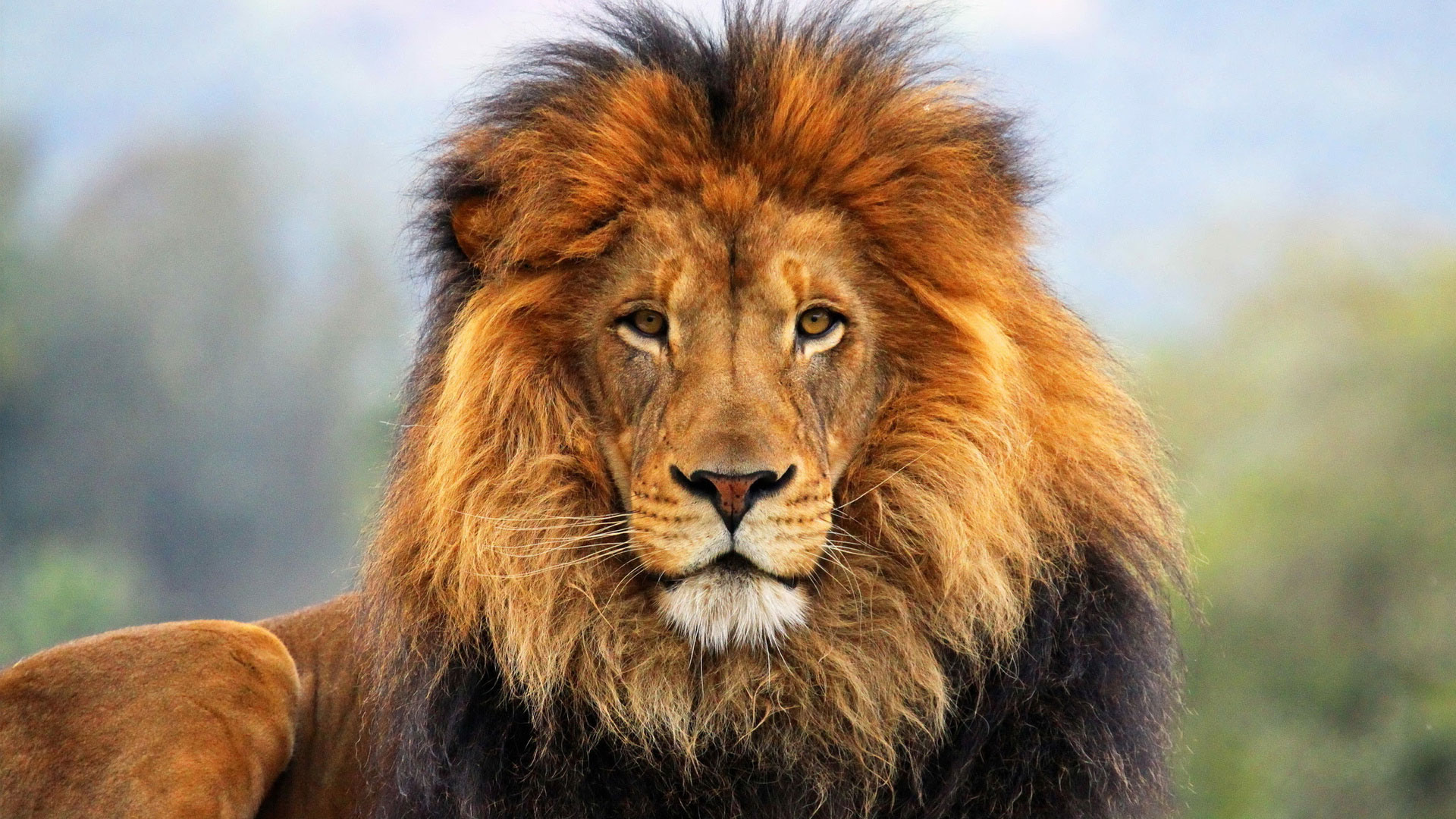 عکس پروفایل