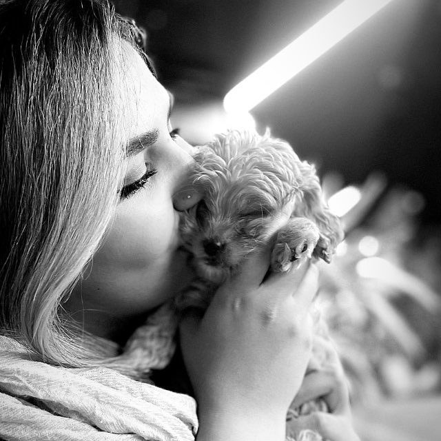 عکس پروفایل