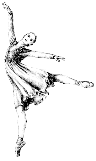 papyrus.decor_profile_pic