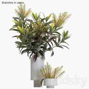 گلدون دکوری Branches in Vases