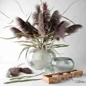 گلدون شیشه ای گرد با شاخه پامپاس