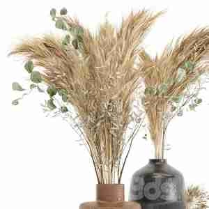 آبجکت  گیاهان خشک پامپاس با گلدان بتنDry plants  Pampas with Concrete vase