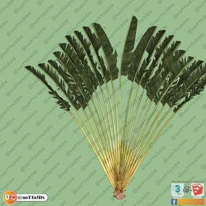 مجموعه ای از گل و گیاه و گلدان استوایی و گرمسیری برای اسکچاپ