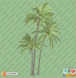 مجموعه ای از گل و گیاه و گلدان استوایی و گرمسیری برای اسکچاپ