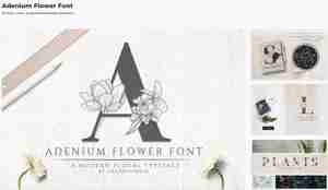 Adenium Flower Font فونت انگلیسی