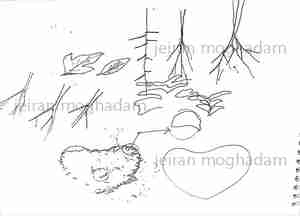 عکس با کیفیت اسکیس درخت های بی برگ