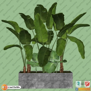 مجموعه ای از گل و گیاه و گلدان استوایی و گرمسیری برای اسکچاپ