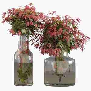 گلدون شیشه ای Branches in Vases