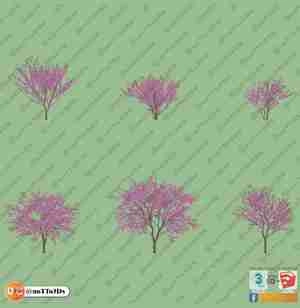 درختچه بهاری با گل های بنفش برای اسکچاپ