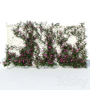 ابجکت پیچک های تزیینی روی فلاور باکس flower box