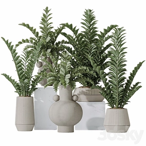 گلدون کوزه ای شکل