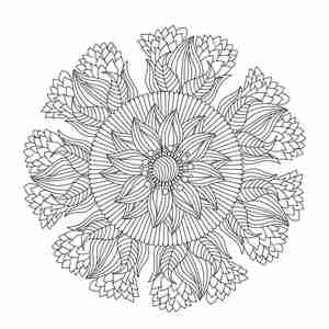 طرح ماندلا گرد با گل Hand drawn mandala eps