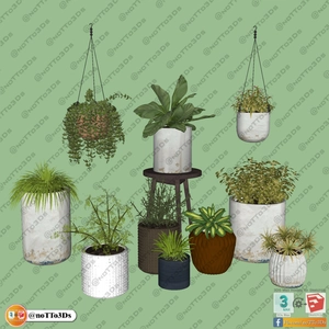 انواع گلدان آپارتمانی  برای اسکچاپ