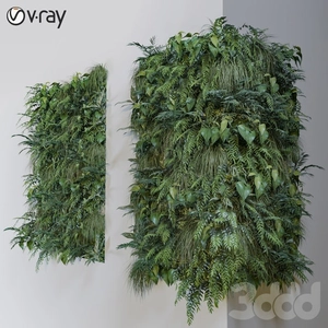 دیوار سبز + گوشه دیوار | green wall