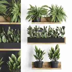 PLANTS آبجکت گیاهان