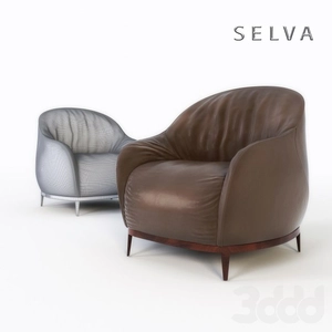 صندلی دسته دار SELVA