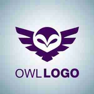 بومیلیا | لوگو جغد Creative owl logo