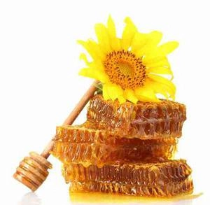 شان عسل عکس با کیفیت برای تبلیغات