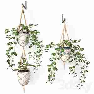 گلدان آویزان سرامیکی و گلهای Hanging pots