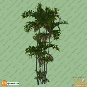 آبجکت گیاه نخل آریوندا برای اسکچاپ