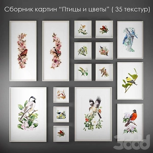 مجموعه نقاشی پرندگان و گلها