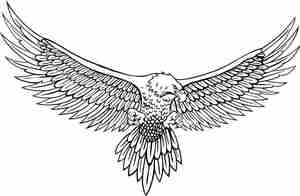 وکتور عقاب بال های باز Drawing Of The Eagle