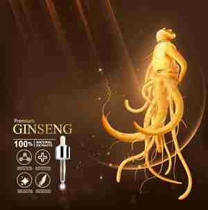 پوستر جنسینگ ginseng cosmetics poster