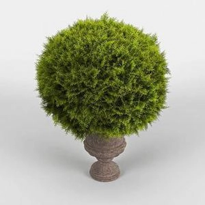 گلدون های بزرگ محوطه ای