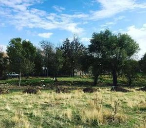 كيلان دماوند