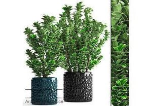 ابجکت شمشاد هی بی
